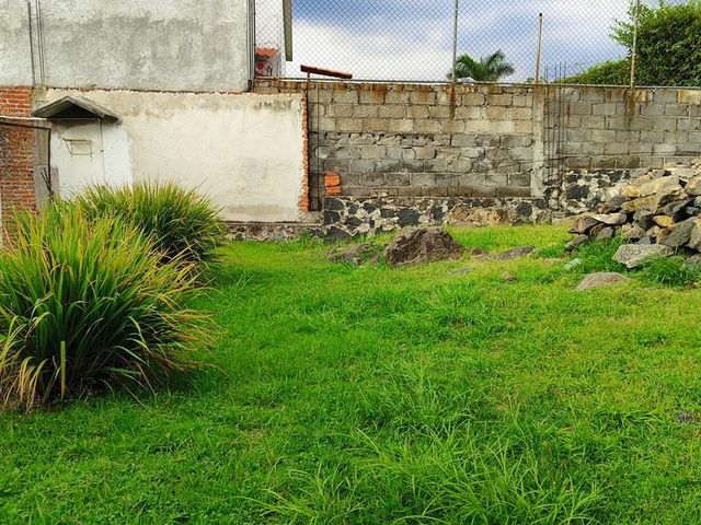 place photo 43