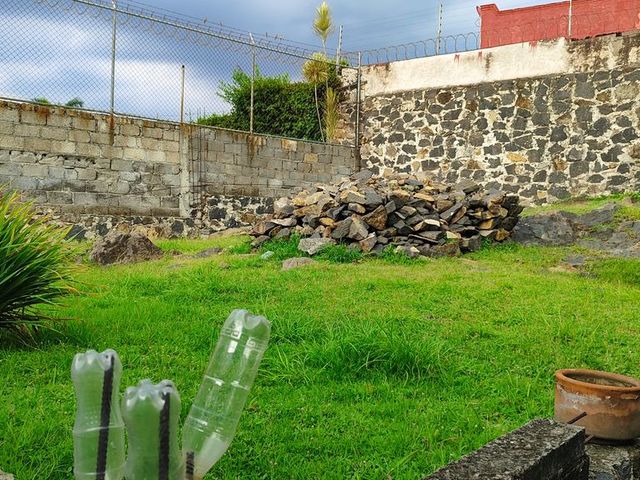 place photo 41