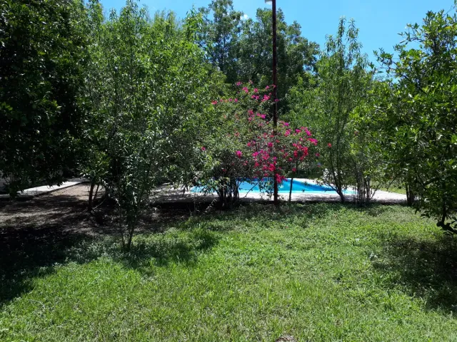 place photo 27