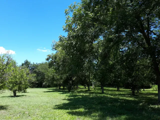 place photo 22