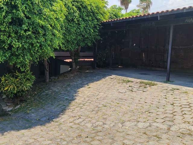 place photo 66