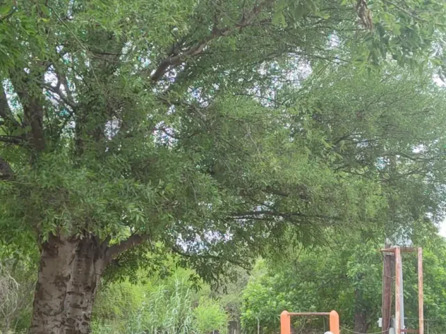 place photo 14