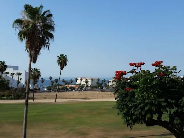 place photo 29