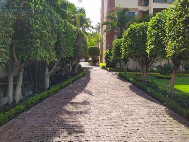 place photo 35