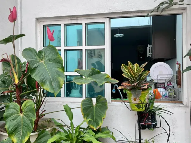 place photo 34