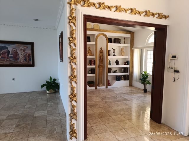 place photo 28