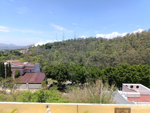 place photo 42