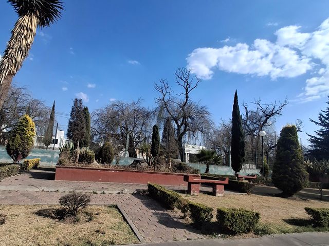 place photo 21