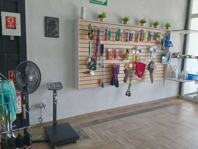 place photo 5