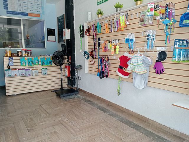 place photo 3