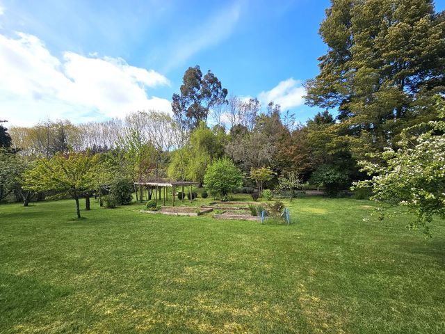 place photo 28