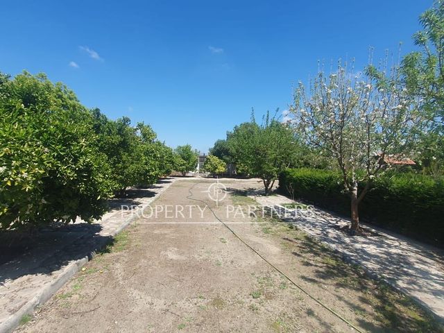 place photo 33