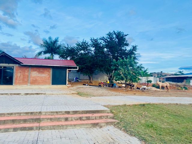 place photo 9