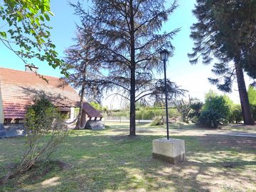 place photo 32