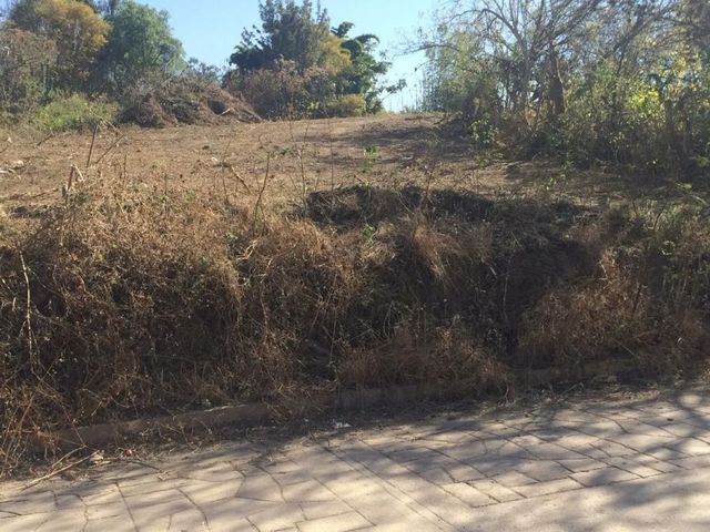 place photo 6