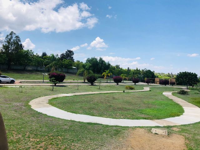 place photo 46