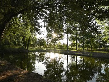 place photo 38