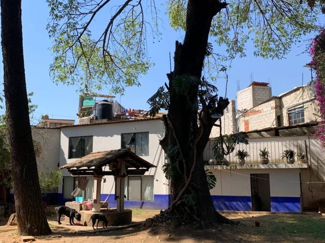 place photo 18