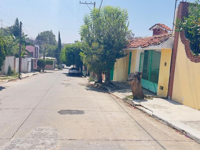place photo 61