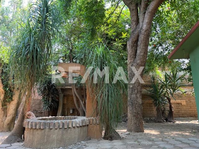 place photo 36