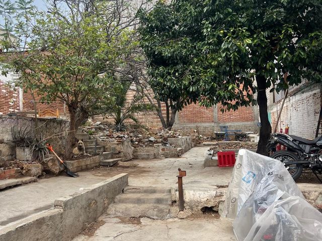 place photo 13