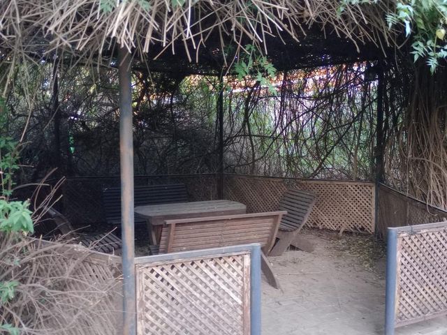 place photo 33