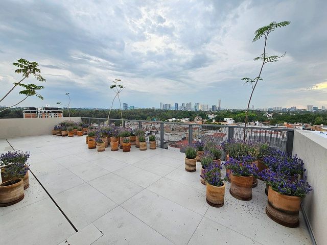 place photo 26