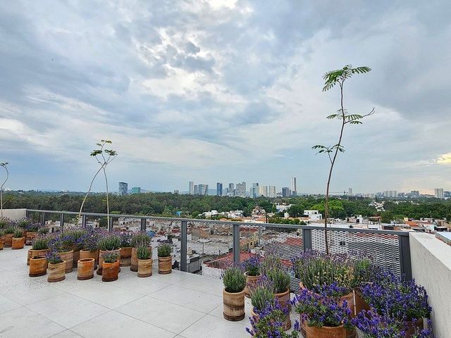 place photo 28