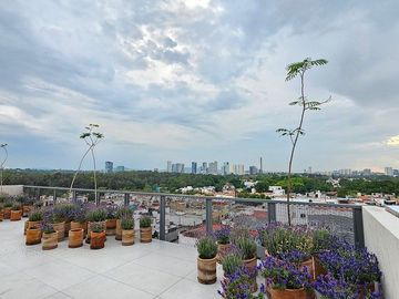 place photo 28