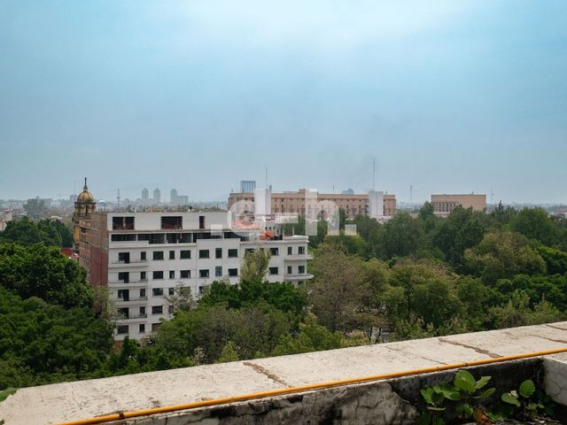 place photo 40