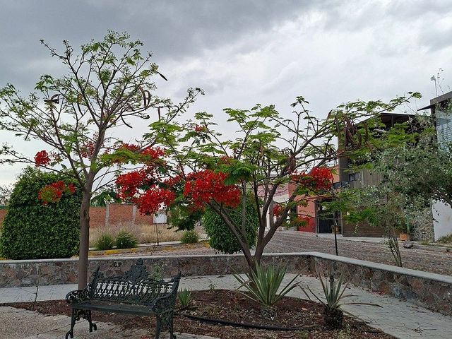 place photo 4
