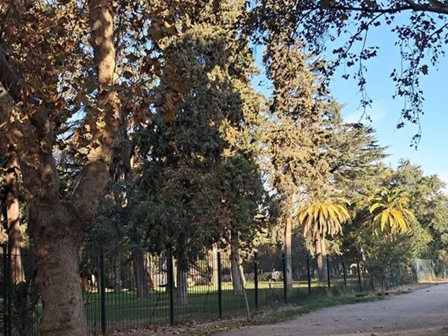 place photo 54