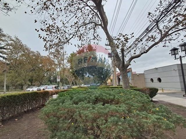 place photo 47