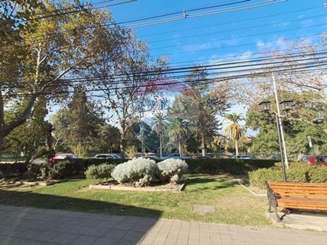 place photo 58