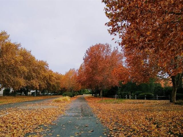 place photo 56