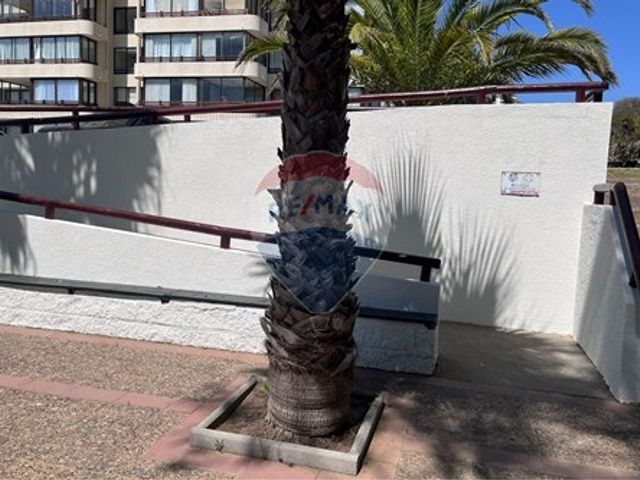 place photo 53