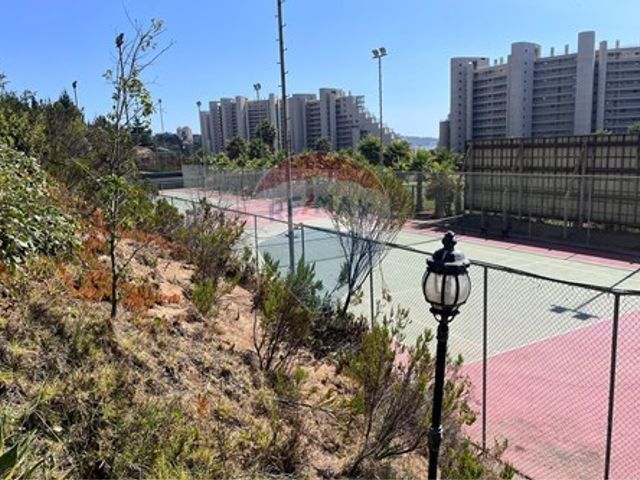 place photo 79