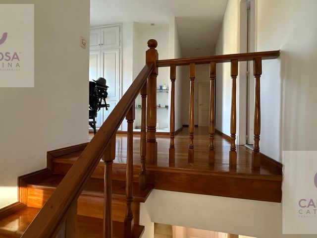 place photo 49