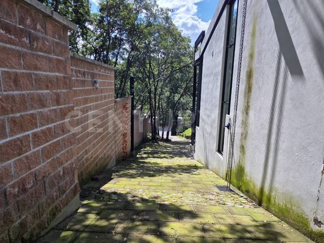 place photo 53