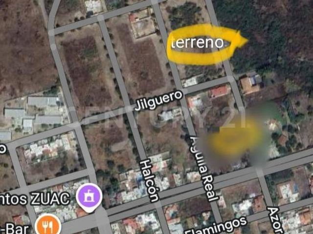 place photo 10