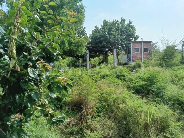 place photo 16