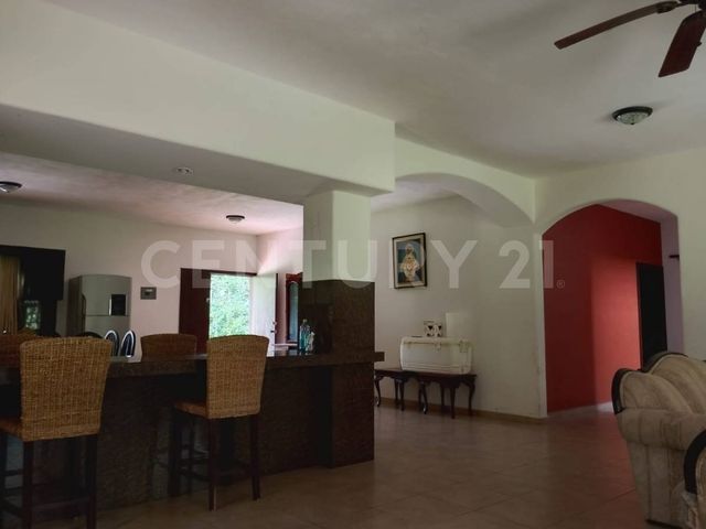 place photo 41