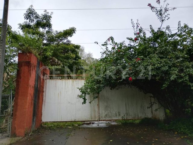 place photo 46
