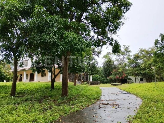place photo 47