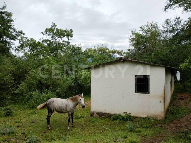place photo 23