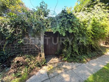 place photo 28