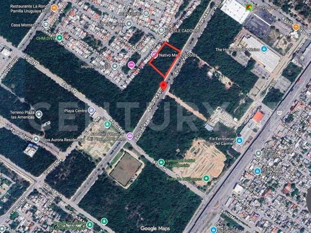 place photo 10