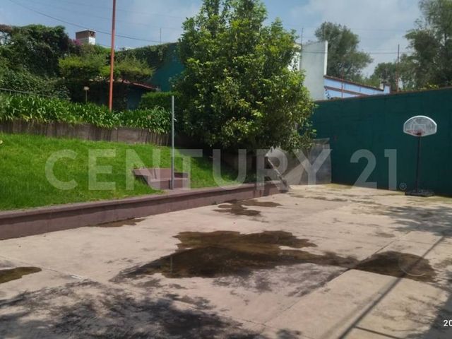 place photo 26