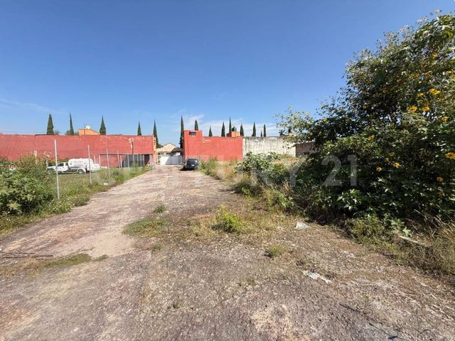 place photo 13