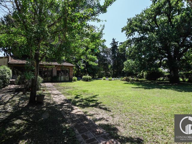 place photo 29